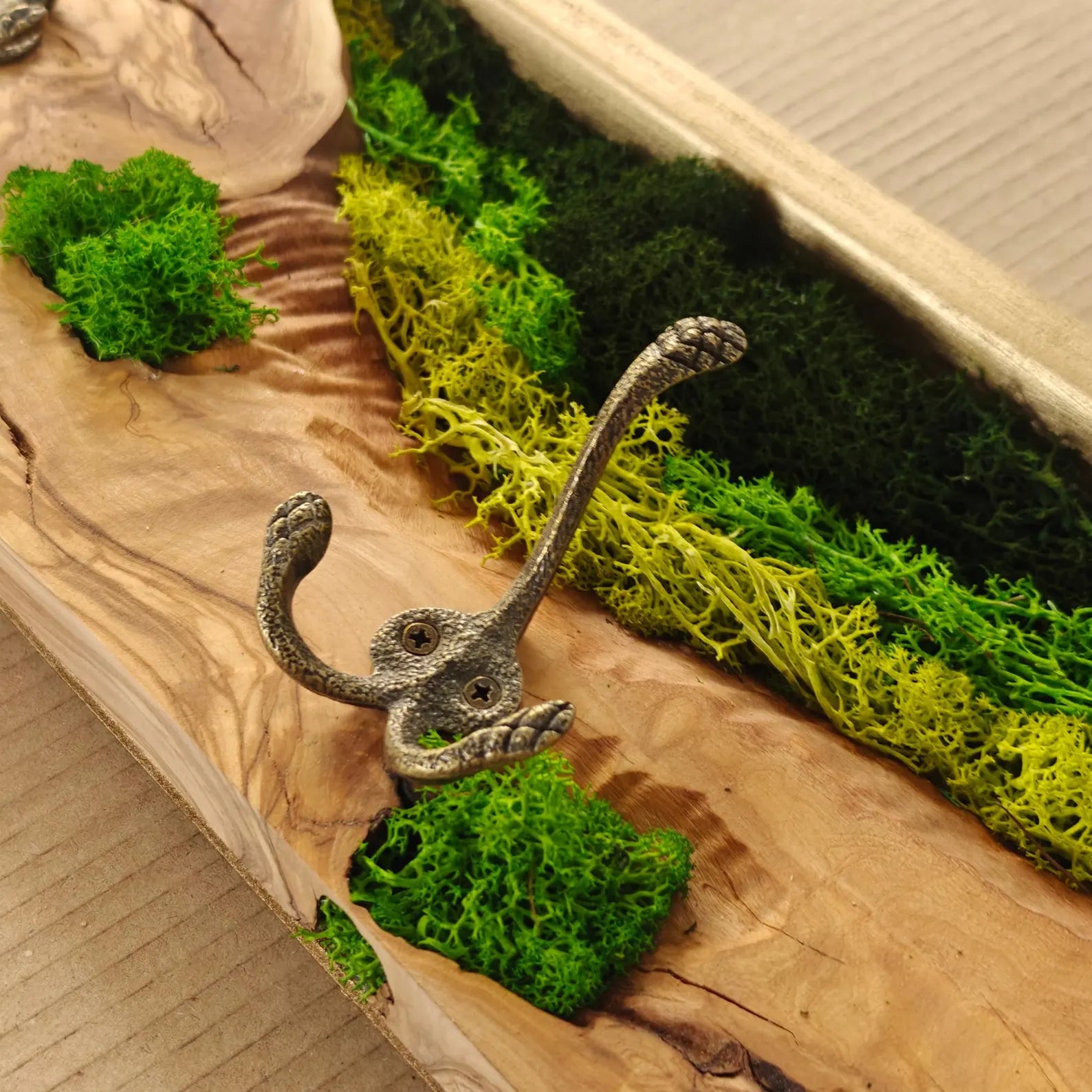 Biophilic Olive Wood Coat Rack with Preserved Moss