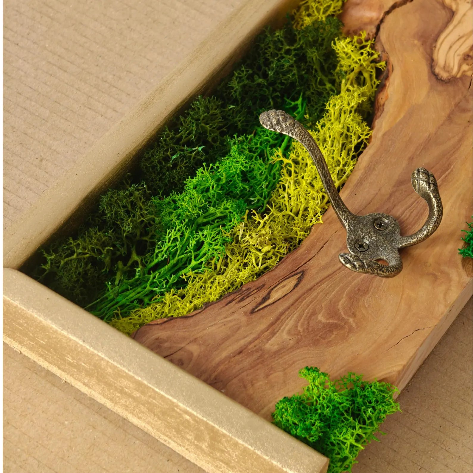Biophilic Olive Wood Coat Rack with Preserved Moss