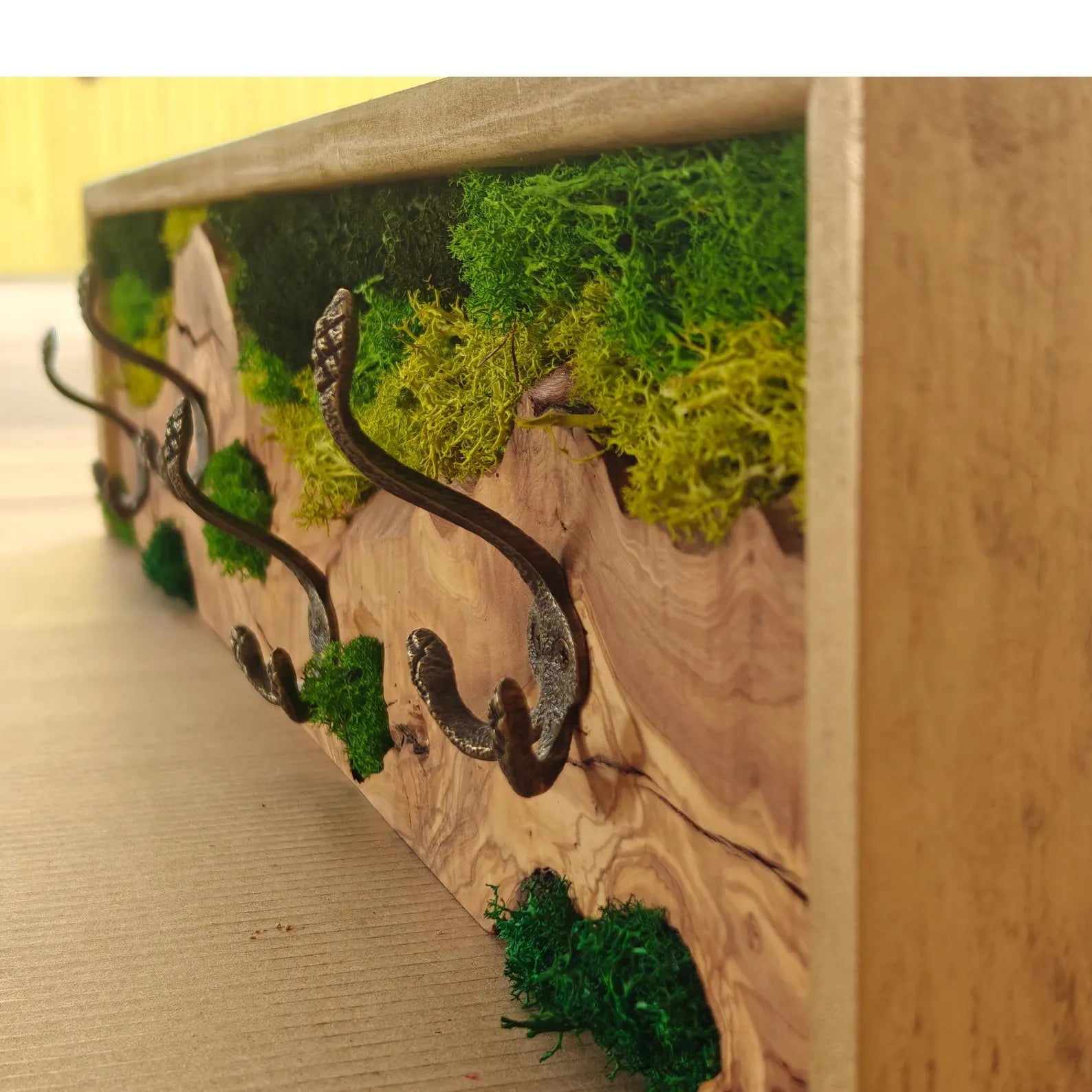 Biophilic Olive Wood Coat Rack with Preserved Moss
