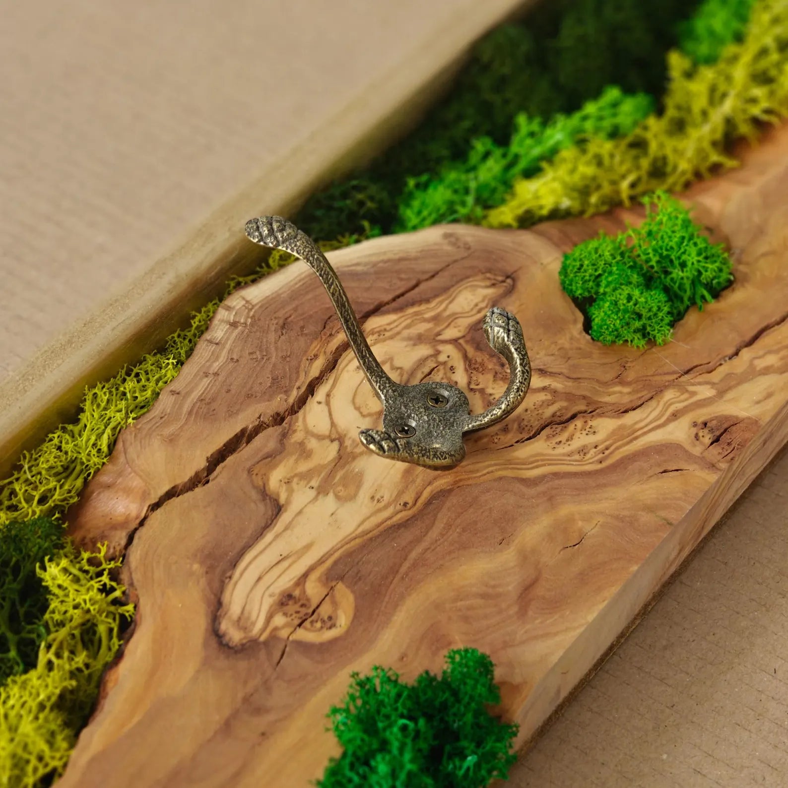 Biophilic Olive Wood Coat Rack with Preserved Moss