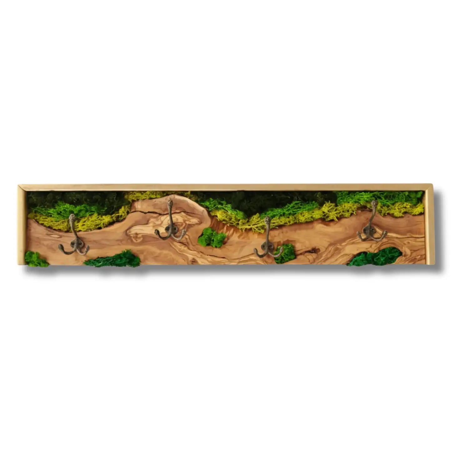 Biophilic Olive Wood Coat Rack with Preserved Moss