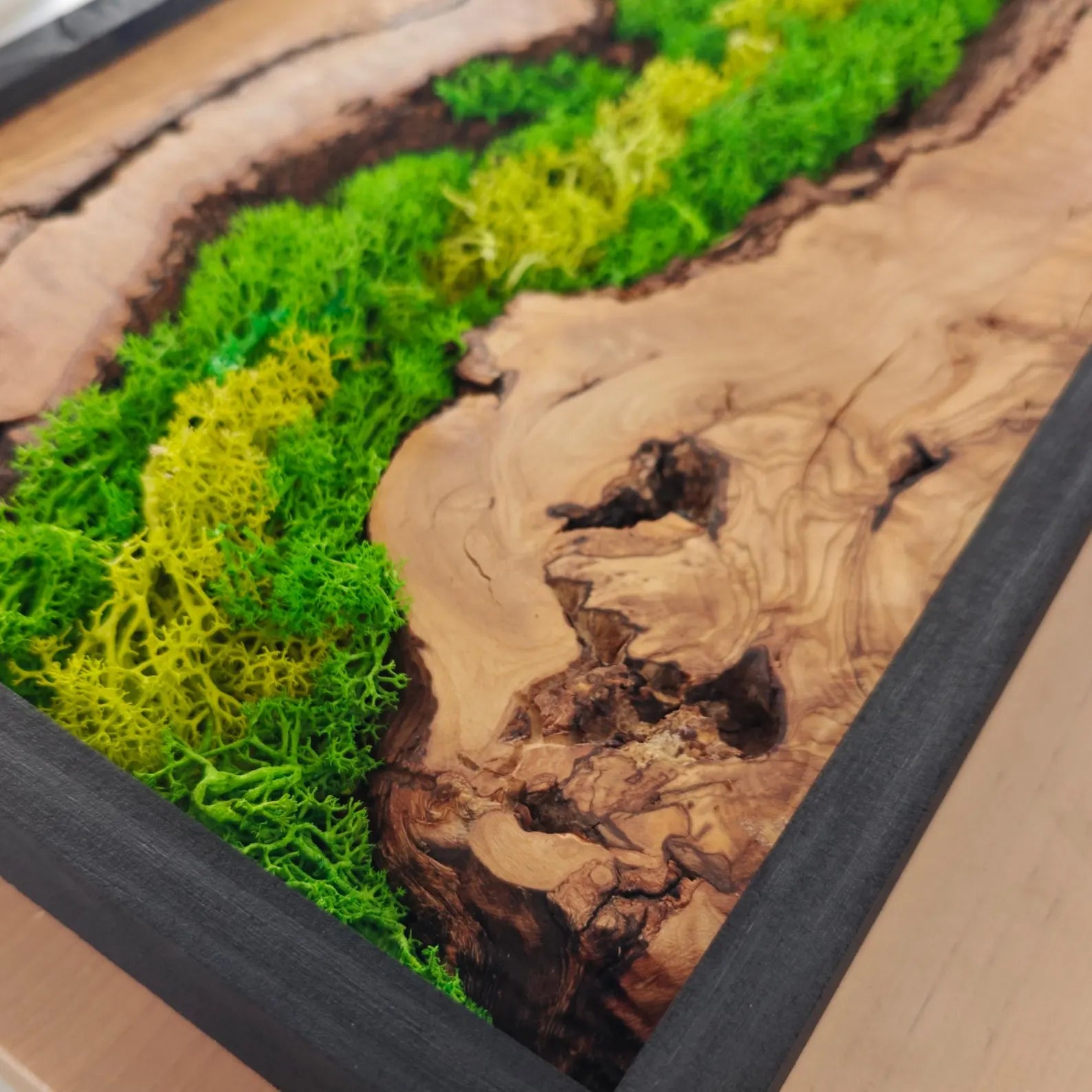 Olive Wood & Preserved Moss Wall Art