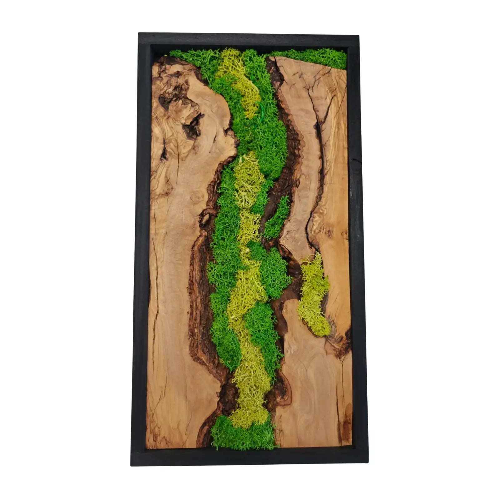 Olive Wood & Preserved Moss Wall Art