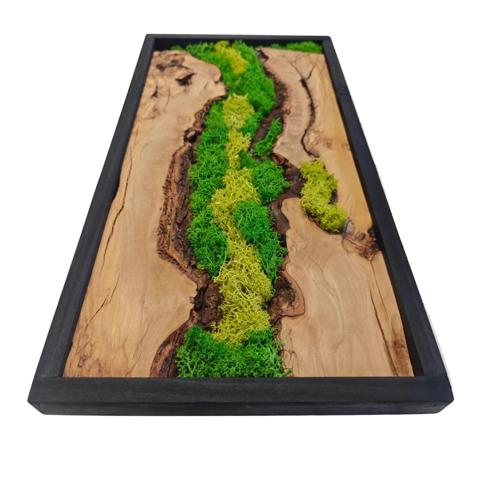 Olive Wood & Preserved Moss Wall Art