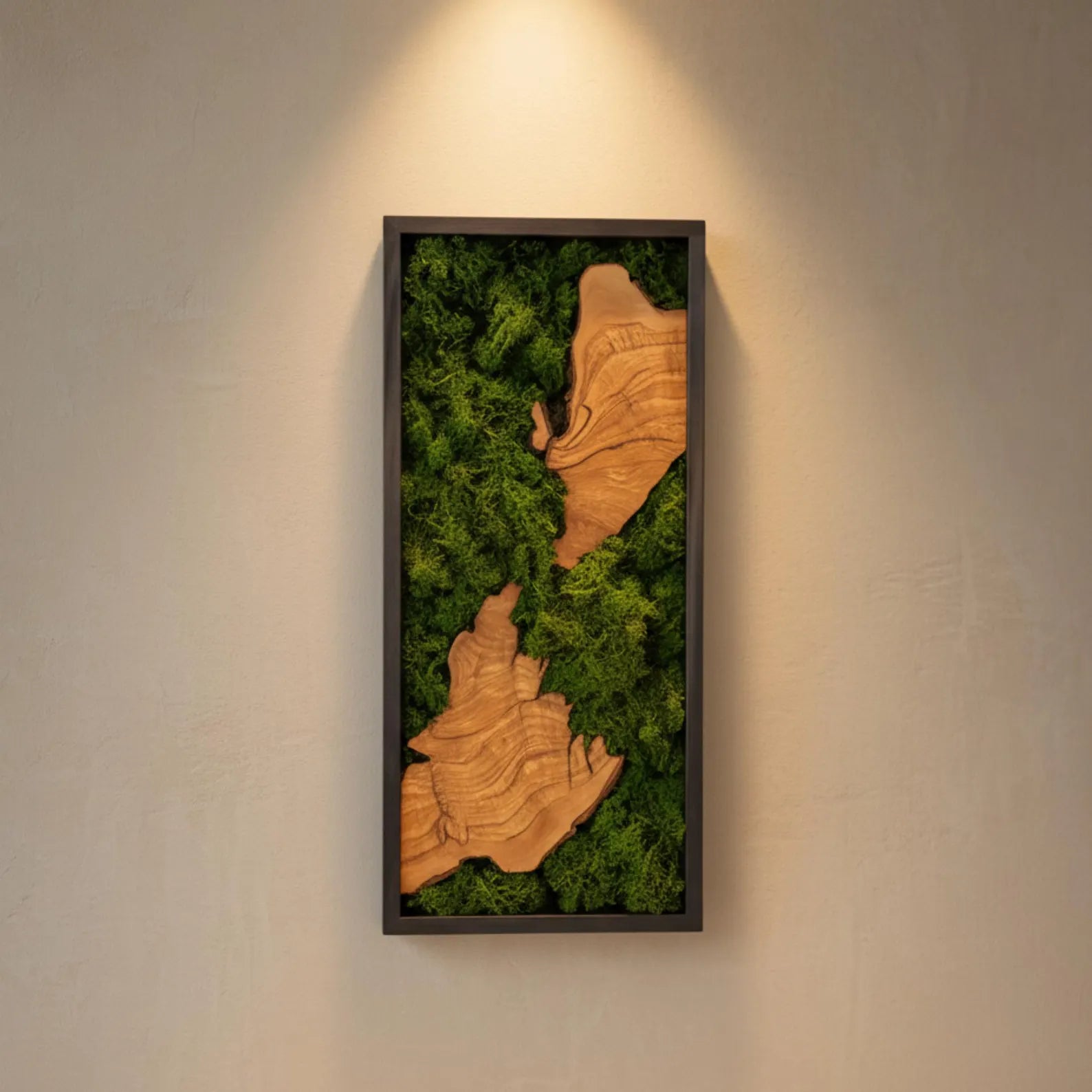 Olive Wood & Moss Wall Art - Biophilic Nature Design
