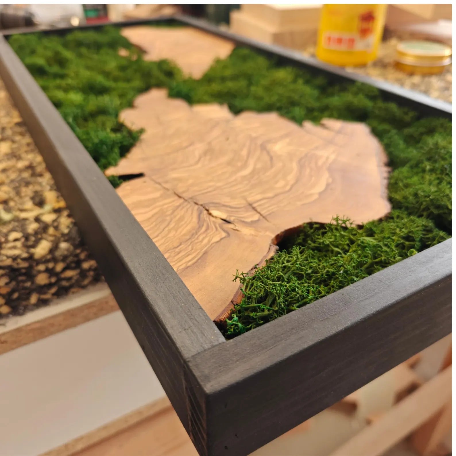 Olive Wood & Moss Wall Art - Biophilic Nature Design