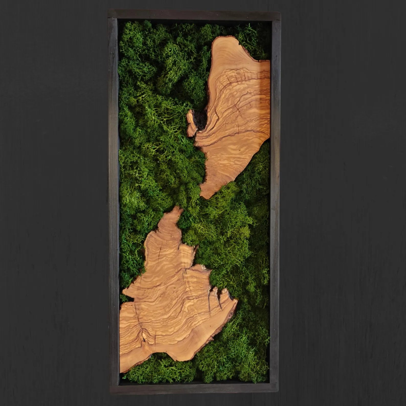 Olive Wood & Moss Wall Art - Biophilic Nature Design