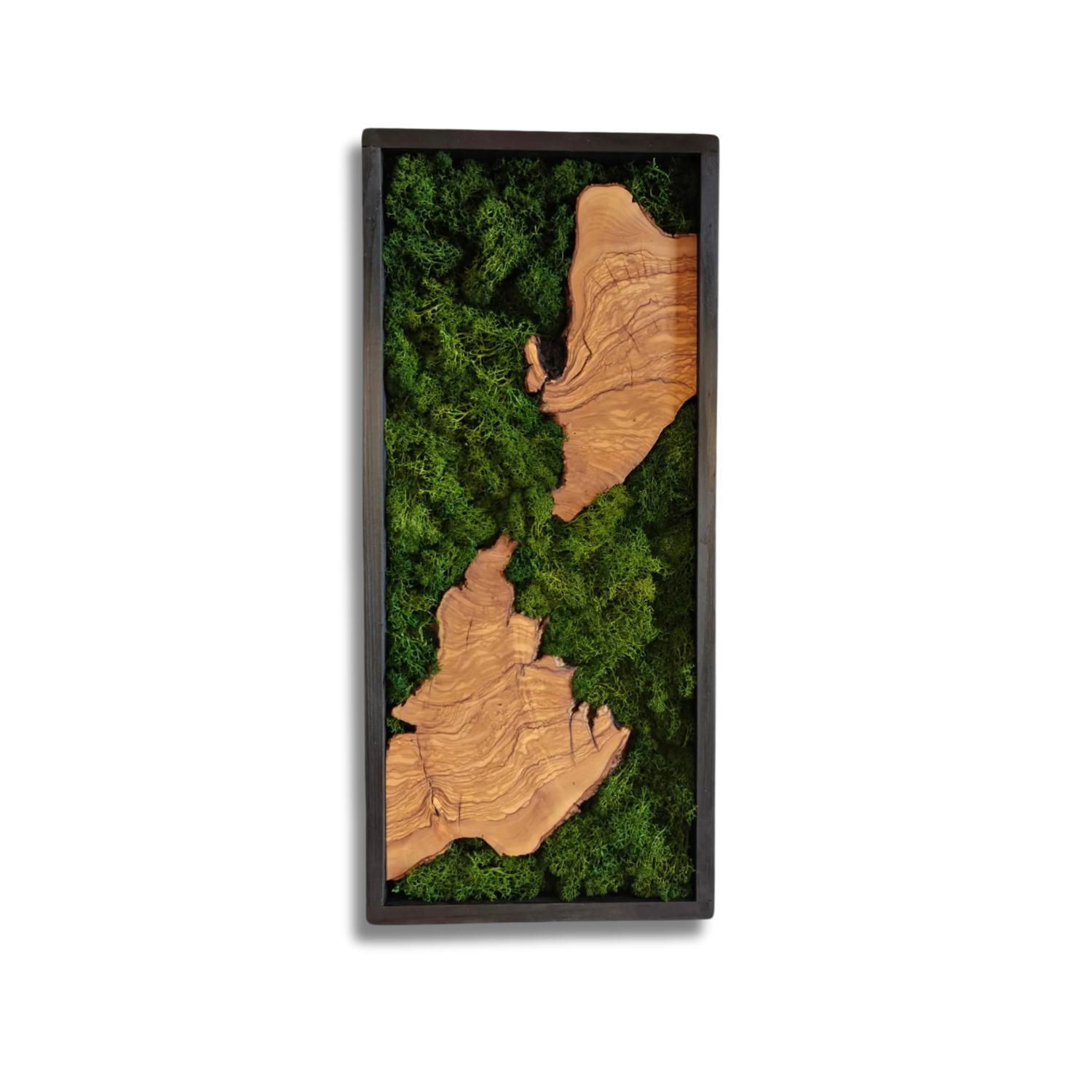 Olive Wood & Moss Wall Art - Biophilic Nature Design