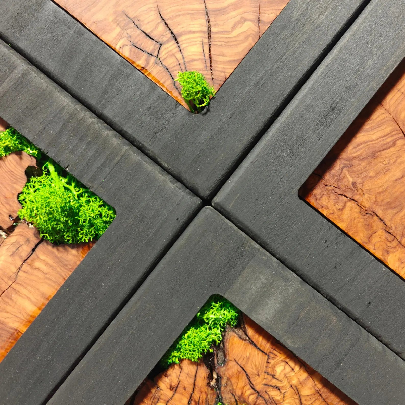 Preserved Moss & Olive Wood Square Wall Art