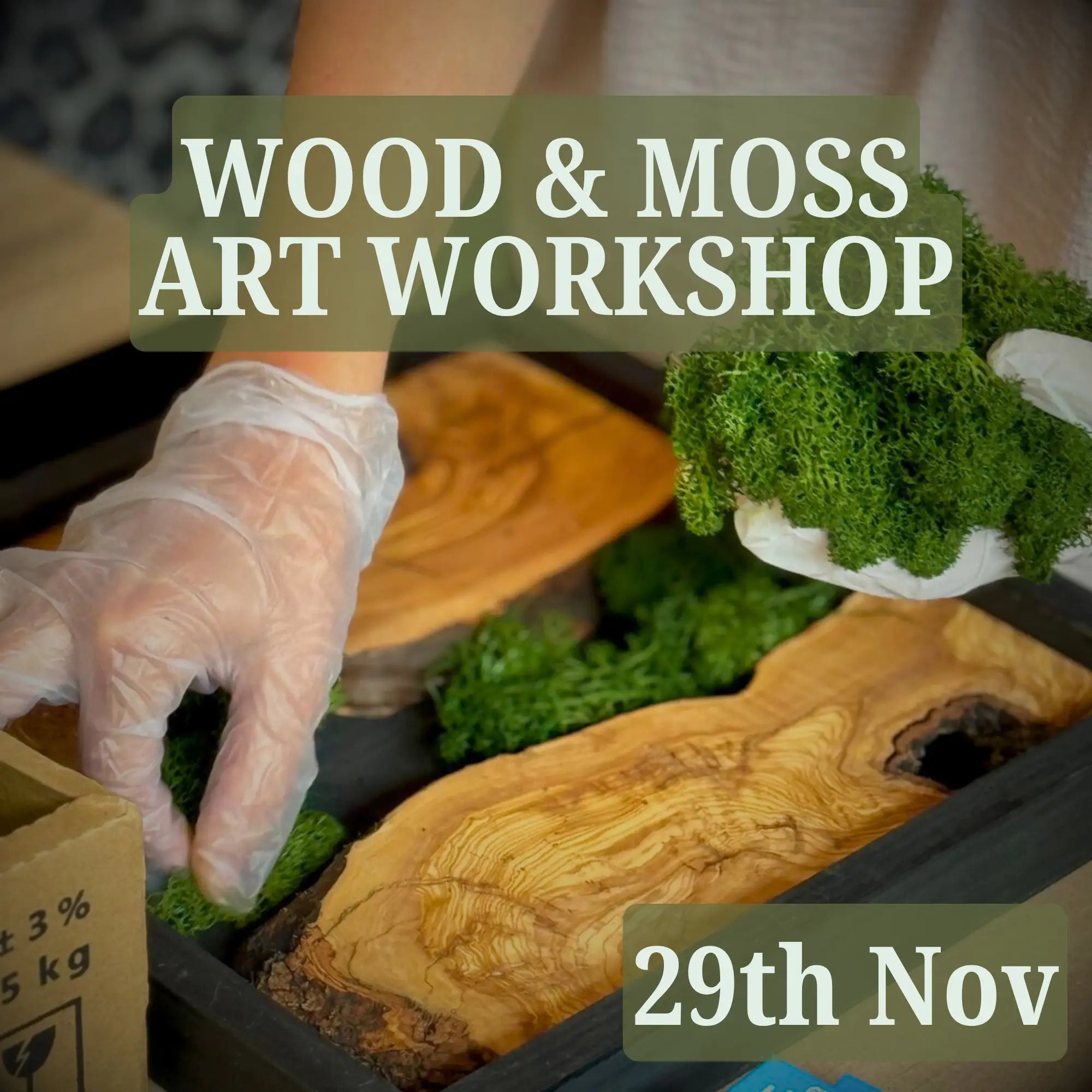 Cats & Crafts Workshop - 29 Nov