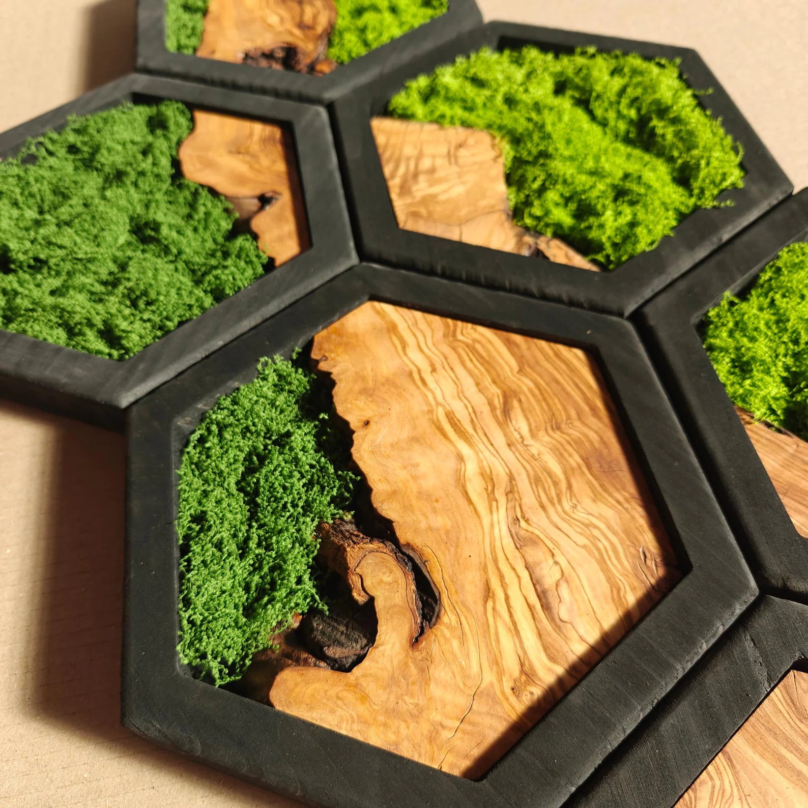 Olive Wood & Preserved Moss Hexagon Wall Art