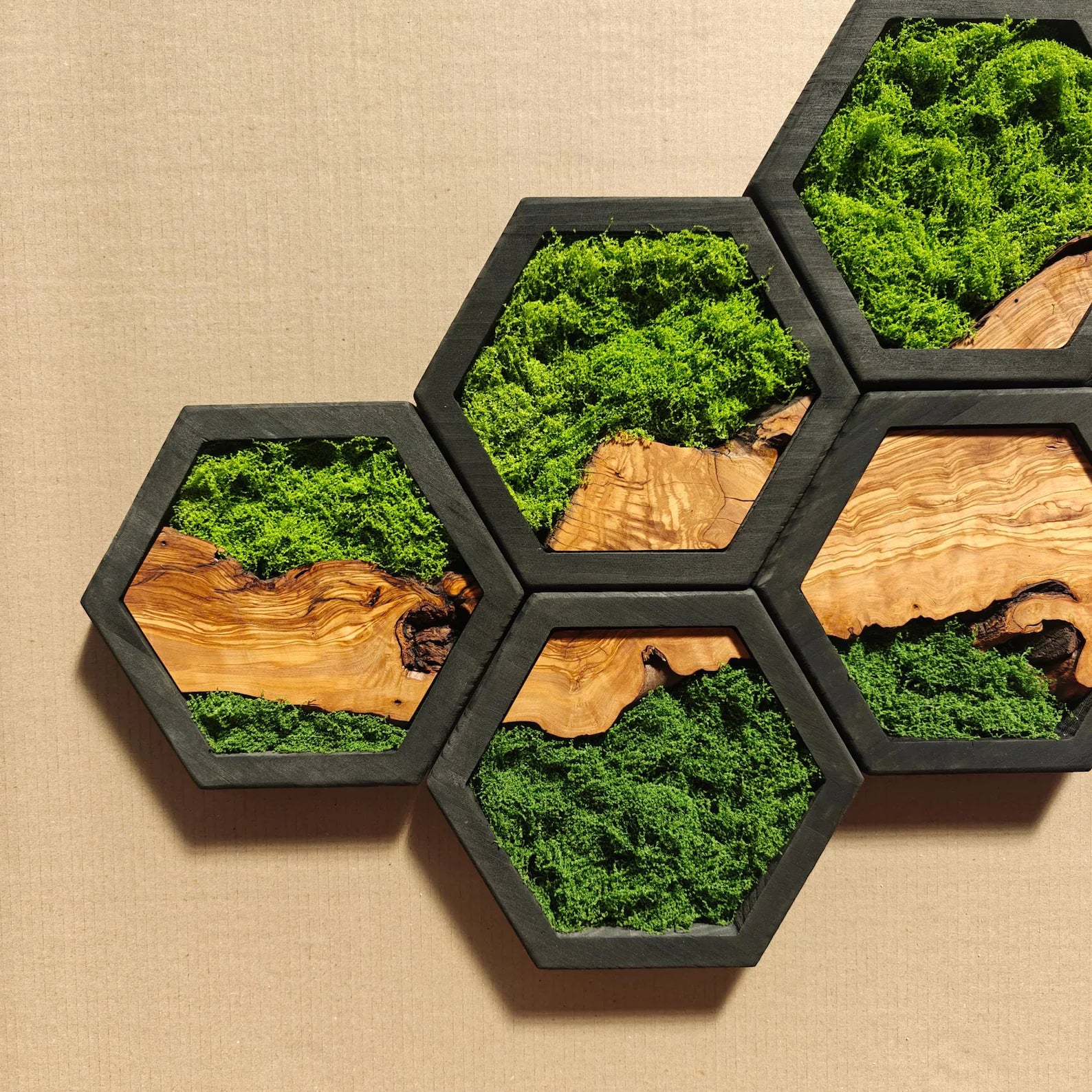 Olive Wood & Preserved Moss Hexagon Wall Art