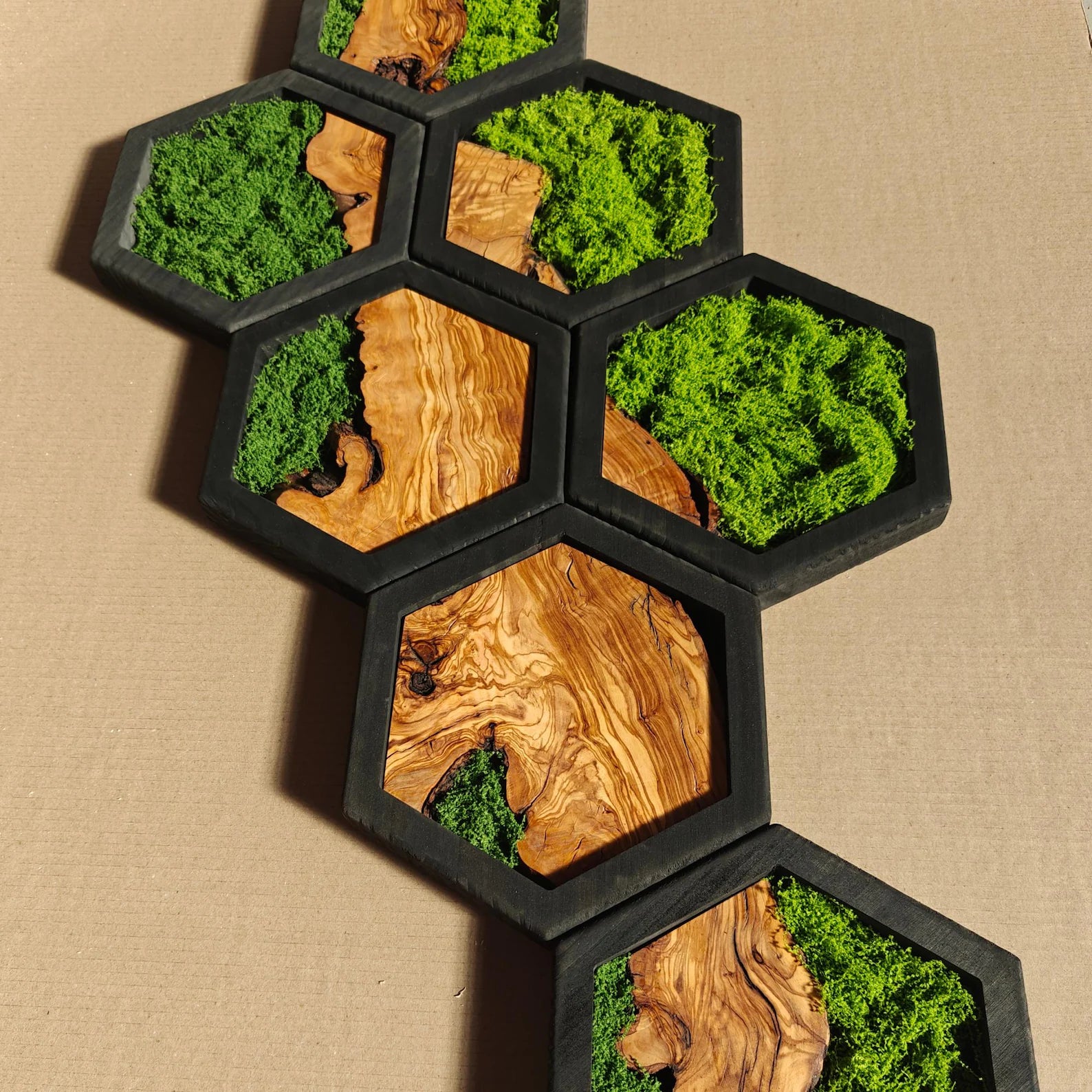 Olive Wood & Preserved Moss Hexagon Wall Art