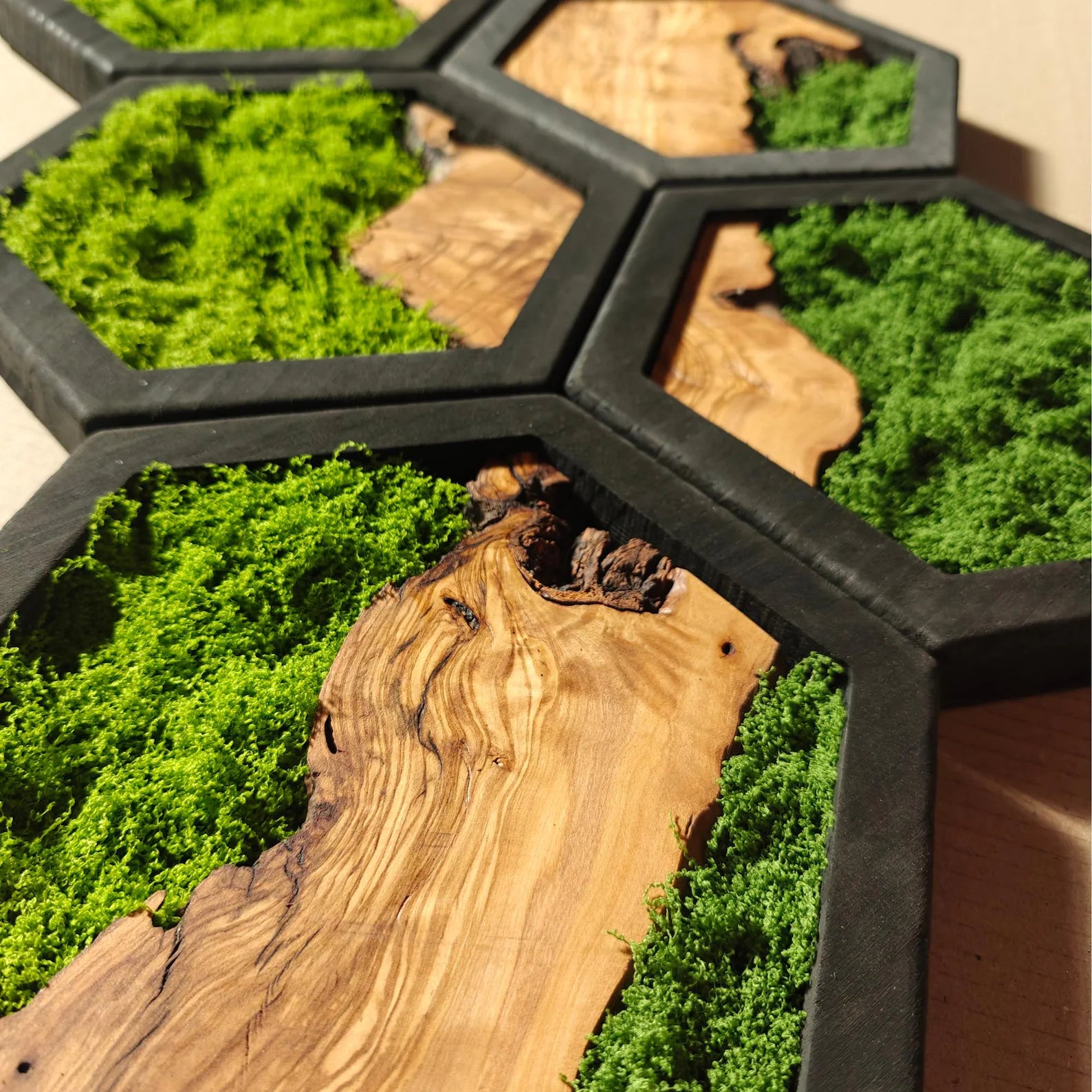Olive Wood & Preserved Moss Hexagon Wall Art