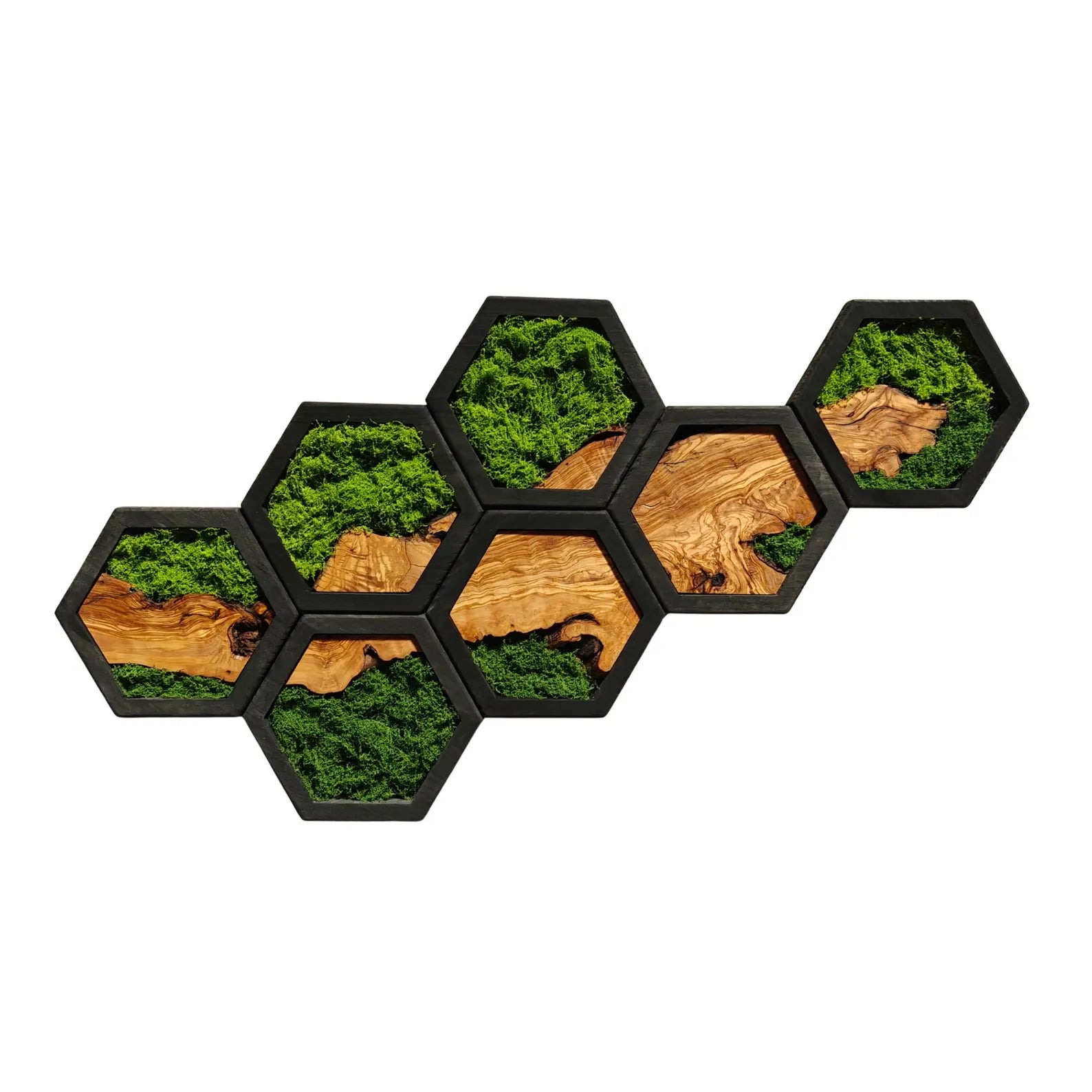 Olive Wood & Preserved Moss Hexagon Wall Art - 7 Hexagons