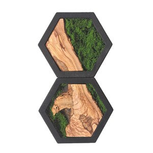 Olive Wood & Preserved Moss Hexagon Wall Art