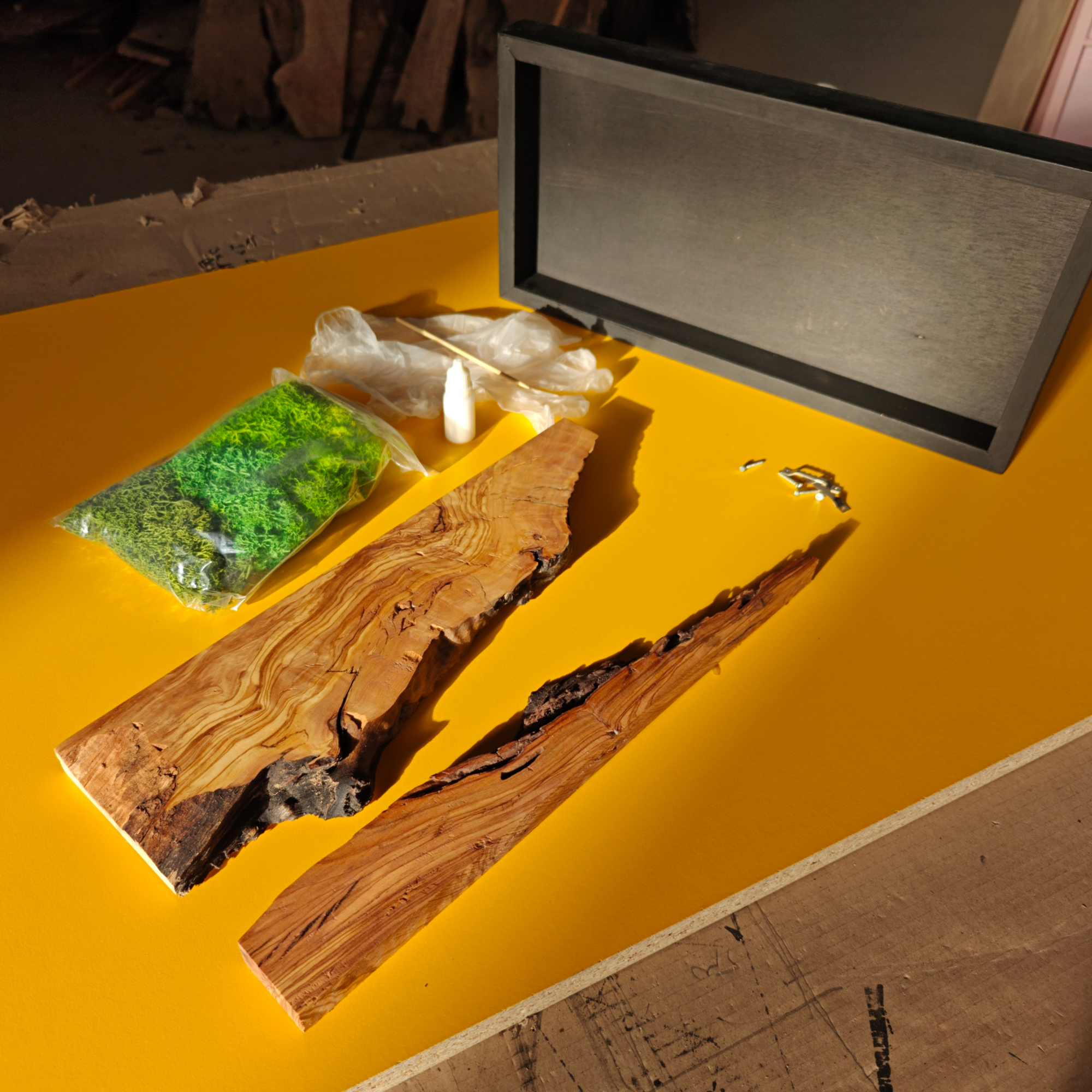 olive wood pieces, green moss, and a black box on a yellow surface